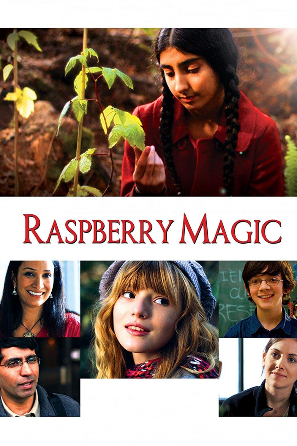 Постер Raspberry Magic